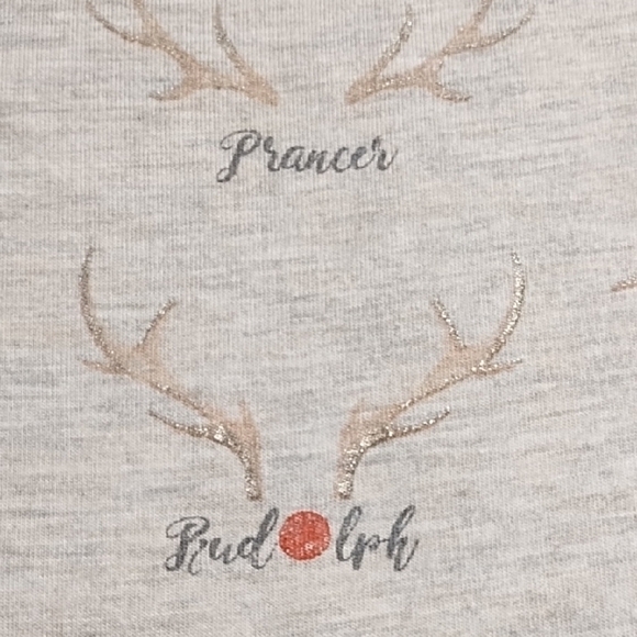 Oatmeal Christmas Soft Tee Shirt Top Reindeer Games Names Graphic - Picture 4 of 12